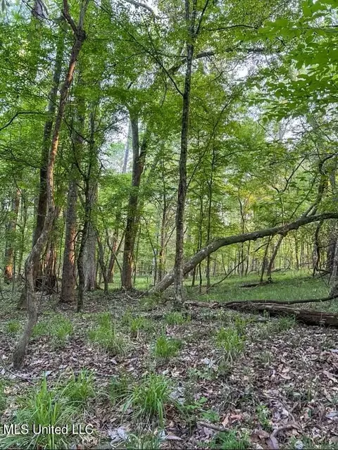 00 Ashley Rd, Brandon, MS 39042 photo 14