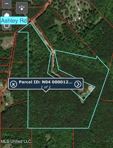 00 Ashley Rd, Brandon, MS 39042 photo 18