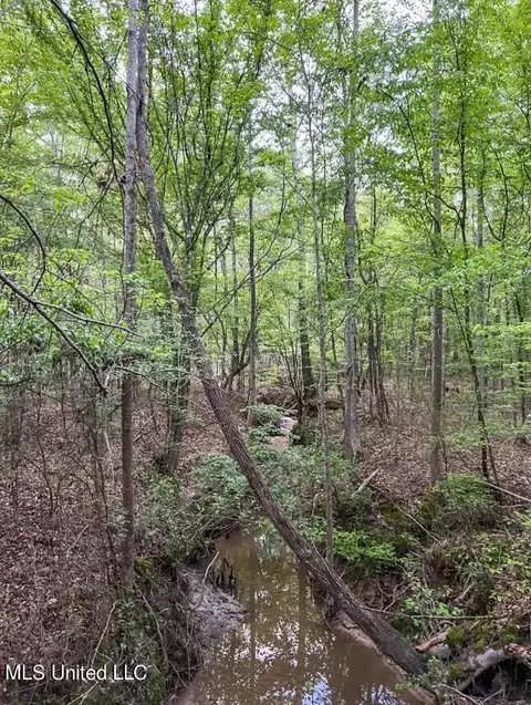 00 Ashley Rd, Brandon, MS 39042 photo 3