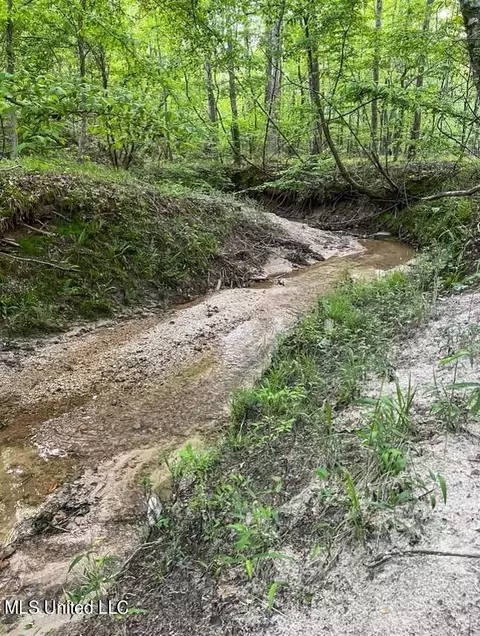 00 Ashley Rd, Brandon, MS 39042 photo 9