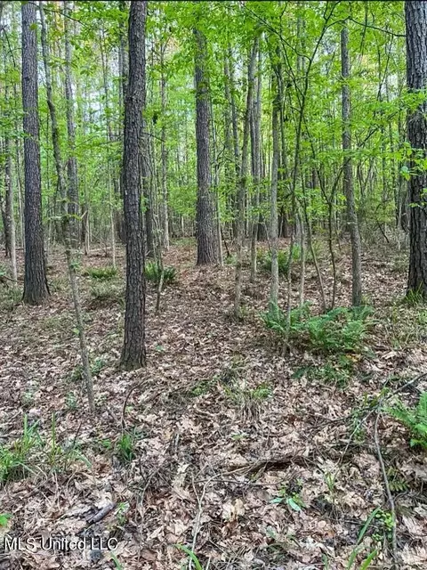 00 Ashley Rd, Brandon, MS 39042 photo 5