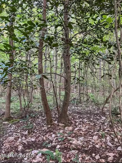 00 Ashley Rd, Brandon, MS 39042 photo 7