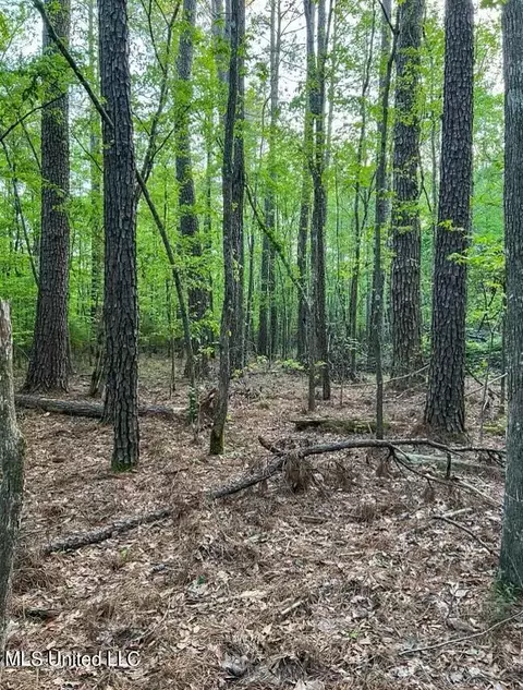 00 Ashley Rd, Brandon, MS 39042 photo 12