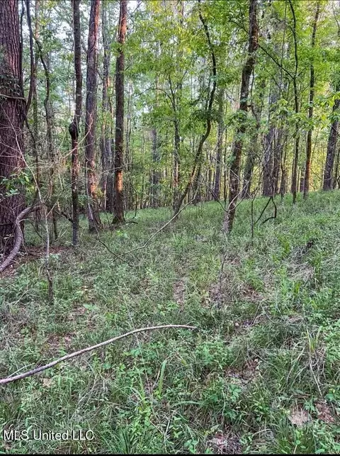 00 Ashley Rd, Brandon, MS 39042 photo 16