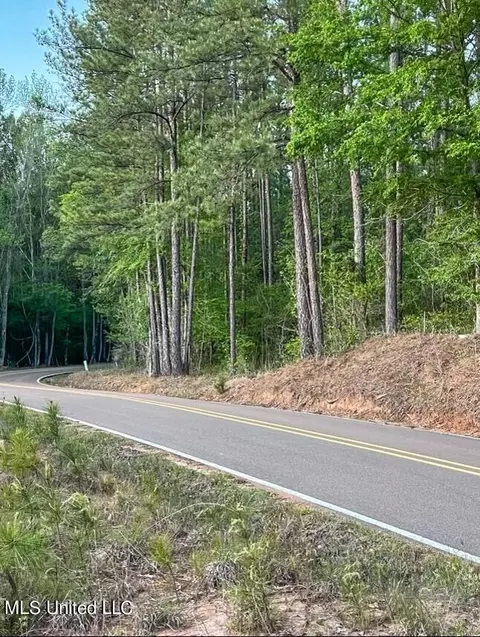 00 Ashley Rd, Brandon, MS 39042 photo 17
