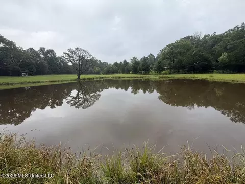 Meredith Road, Collinsville, MS 39325