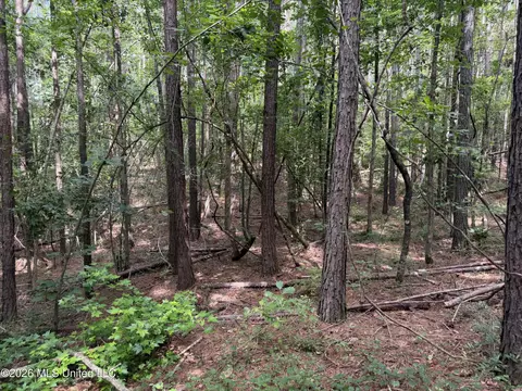 NW Union Road, Brookhaven, MS 39601 photo 5