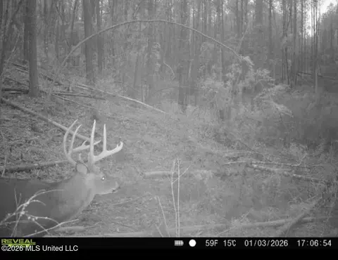 NW Union Road, Brookhaven, MS 39601 photo 2