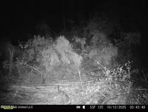 NW Union Road, Brookhaven, MS 39601 photo 3