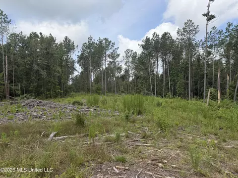 NW Union Road, Brookhaven, MS 39601 photo 7