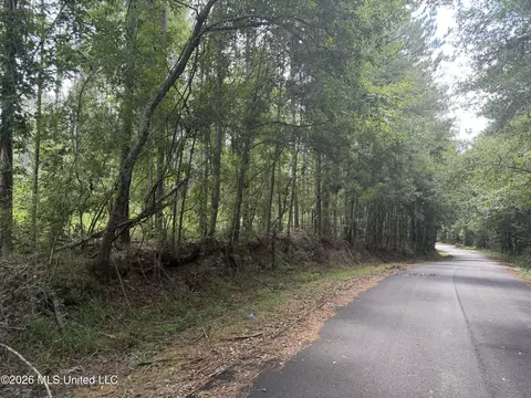 NW Union Road, Brookhaven, MS 39601 photo 9