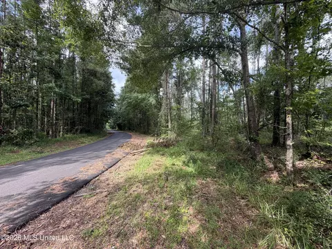 NW Union Road, Brookhaven, MS 39601 photo 8