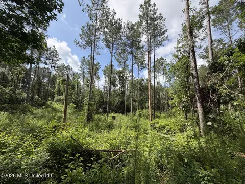 NW Union Road, Brookhaven, MS 39601 photo 6
