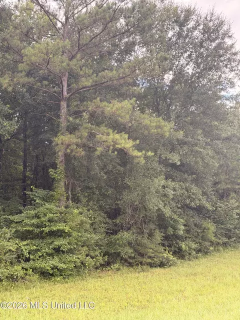 0000 Candy Ln, Mccomb, MS 39648 photo 7