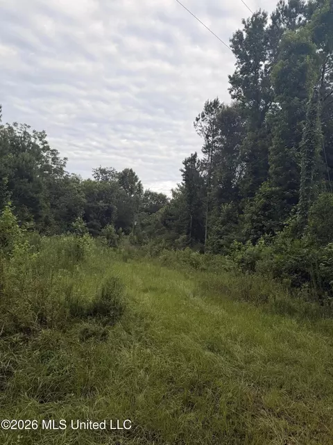 0000 Candy Ln, Mccomb, MS 39648 photo 3