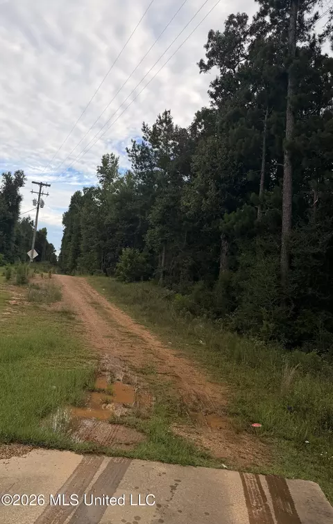 0000 Candy Ln, Mccomb, MS 39648 photo 5