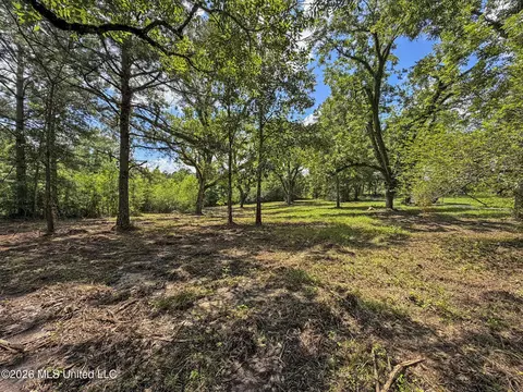 Co Rd 13, Louin, MS 39338 photo 7