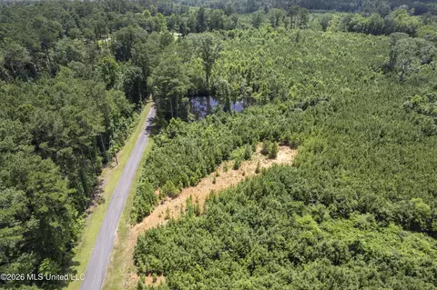 Co Rd 13, Louin, MS 39338 photo 24
