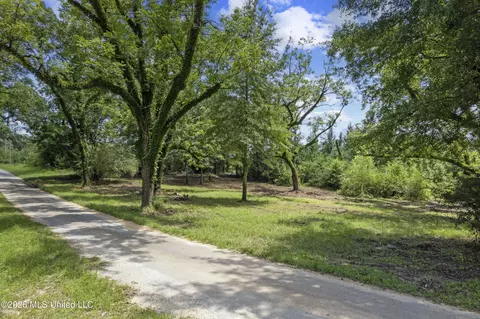 Co Rd 13, Louin, MS 39338 photo 2