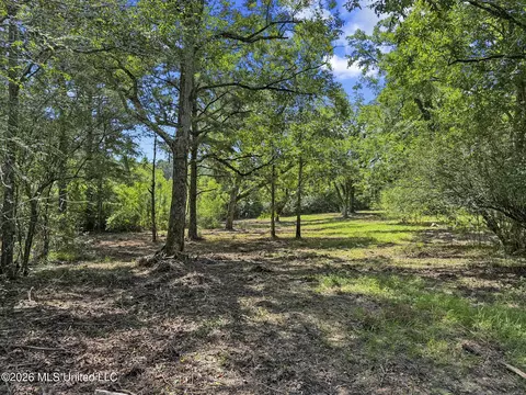 Co Rd 13, Louin, MS 39338 photo 9