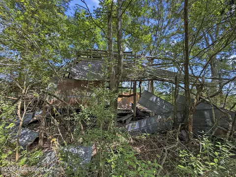 Co Rd 13, Louin, MS 39338 photo 10