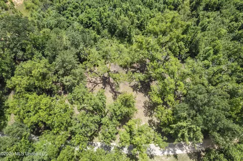 Co Rd 13, Louin, MS 39338 photo 14