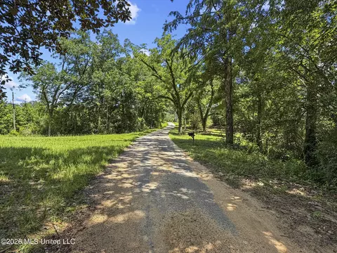 Co Rd 13, Louin, MS 39338 photo 4