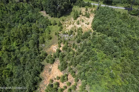 Co Rd 13, Louin, MS 39338 photo 27
