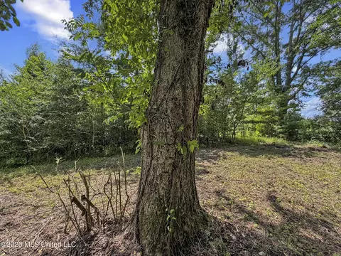 Co Rd 13, Louin, MS 39338 photo 12