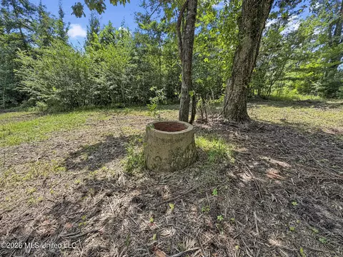 Co Rd 13, Louin, MS 39338 photo 11