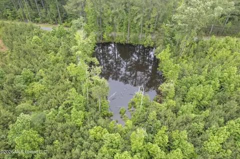Co Rd 13, Louin, MS 39338 photo 23