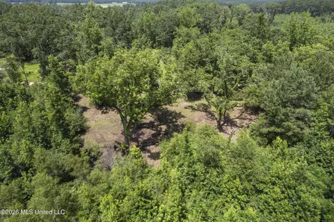 Co Rd 13, Louin, MS 39338 photo 28