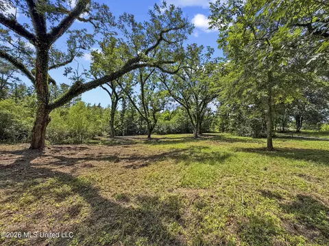 Co Rd 13, Louin, MS 39338 photo 6