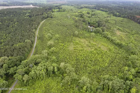 Co Rd 13, Louin, MS 39338 photo 22
