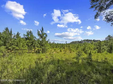Co Rd 13, Louin, MS 39338 photo 8