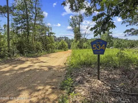 Co Rd 13, Louin, MS 39338 photo 3