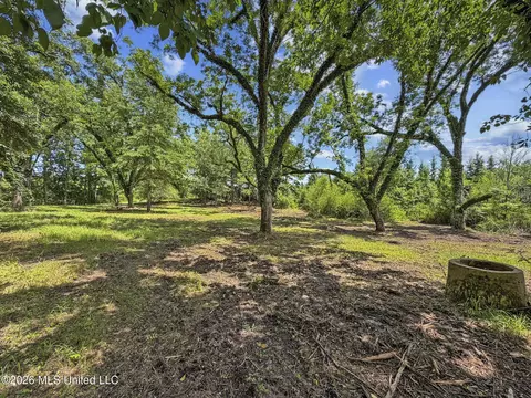 Co Rd 13, Louin, MS 39338 photo 13