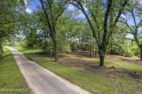 Co Rd 13, Louin, MS 39338 photo 29