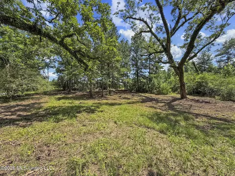 Co Rd 13, Louin, MS 39338 photo 5