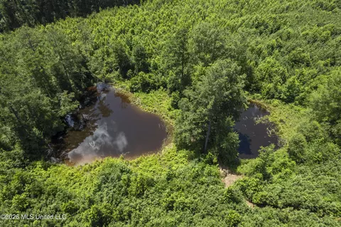 Co Rd 13, Louin, MS 39338 photo 17