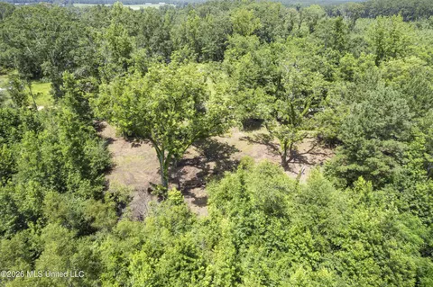 Co Rd 13, Louin, MS 39338 photo 15