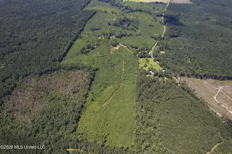 Co Rd 13, Louin, MS 39338 photo 20