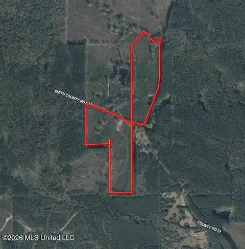 Co Rd 13, Louin, MS 39338 photo 21