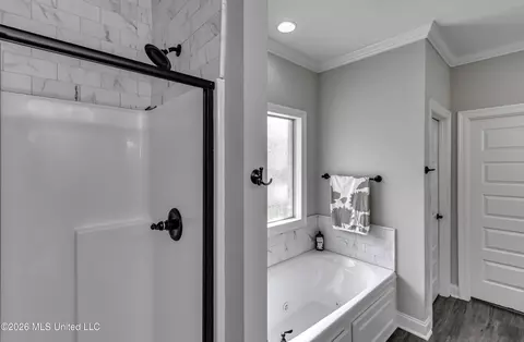 Bath - 801 Bryce St, Brandon, MS 39047 photo 2 of 4