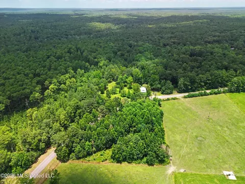 202 Saint John Rd, Brooklyn, MS 39425 photo 3