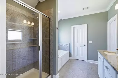 Bath - 358 Emerald Way, Brandon, MS 39047 photo 2 of 6