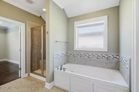 Bath - 358 Emerald Way, Brandon, MS 39047 photo 3 of 6