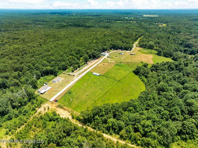 137 Sugar Creek Rd, Carriere, MS 39426