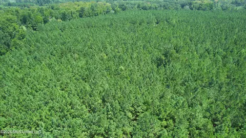 County Rd 2127, Mccool, MS 39108 photo 4