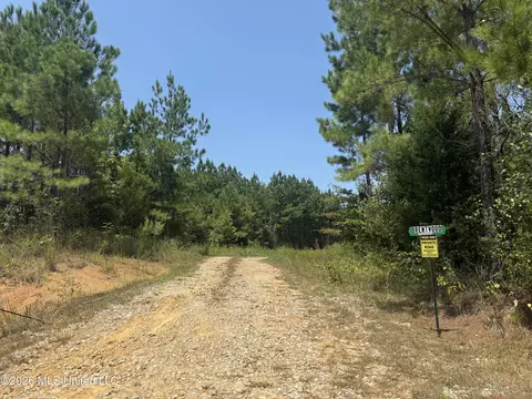 County Rd 2127, Mccool, MS 39108 photo 7